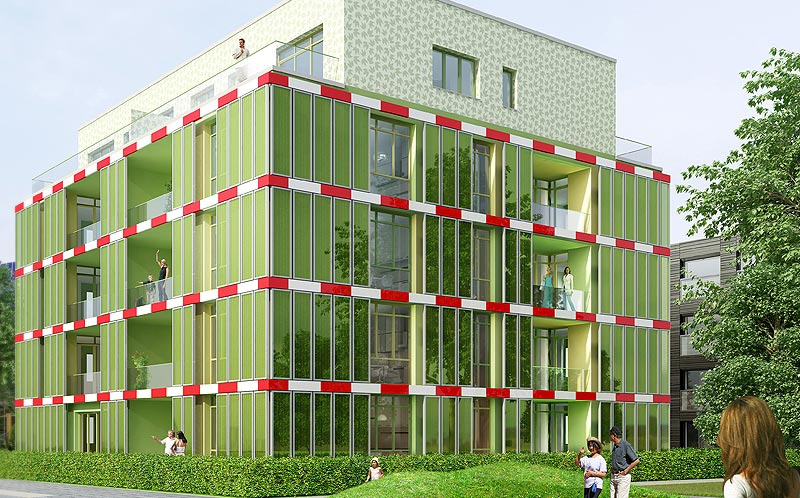 biq house