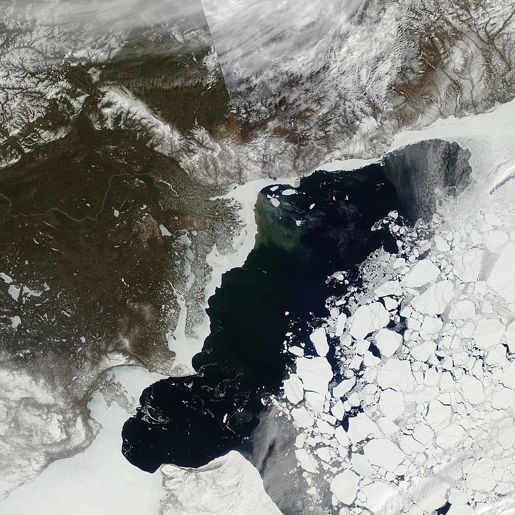 arctic sea ice extent may 2016