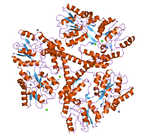 huntingtons disease