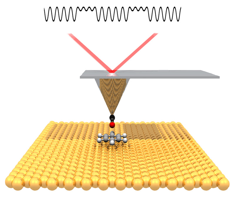 atomic force microscope