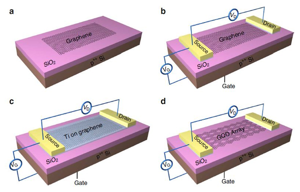 graphene sensor