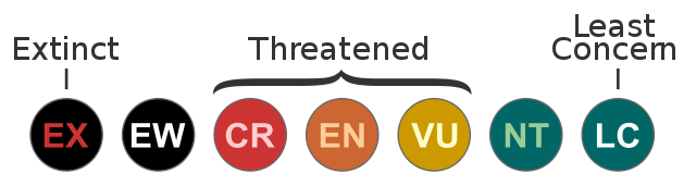 status types