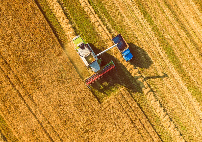 wheat field aerial