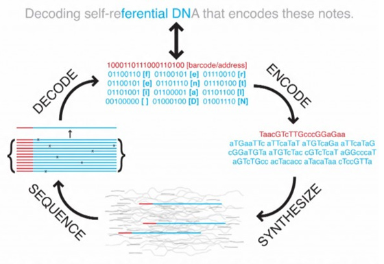 dna storage