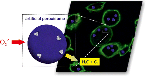 artificial organelles