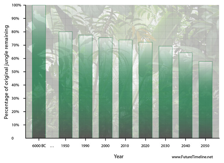 congo deforestation trend