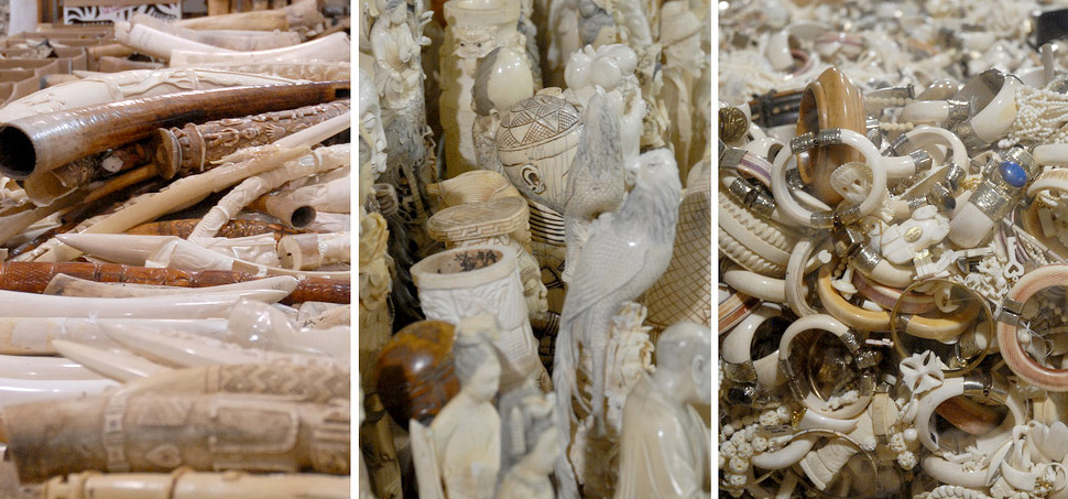 ivory china 2017