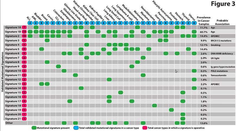 cancer mutations