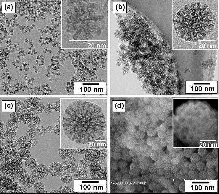 nanoparticles