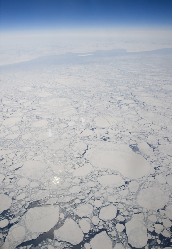 arctic sea ice