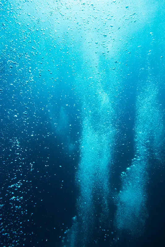 oxygen levels ocean falling 2 percent