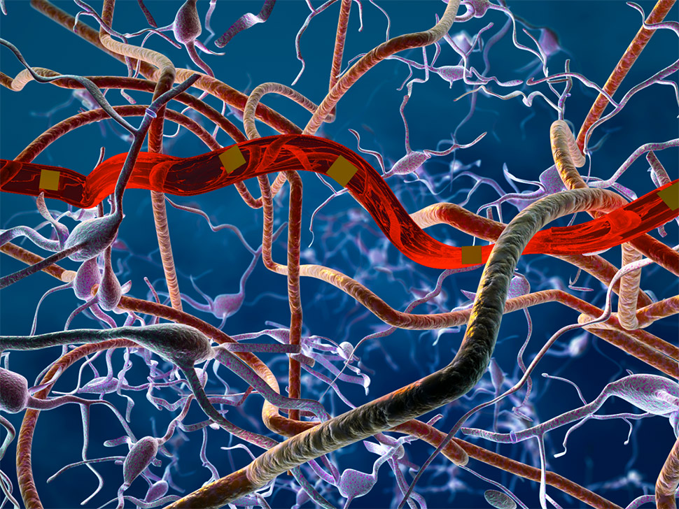 ultra flexible brain probes