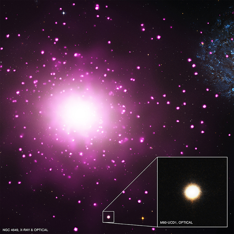 highest density ultracompact dwarf galaxy M60-UCD1