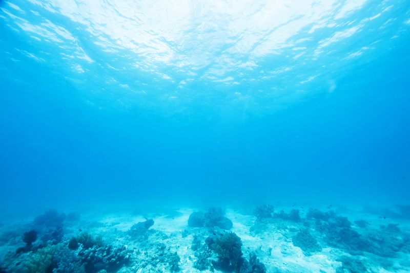 ocean