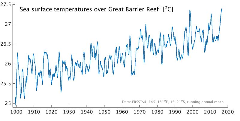 coral bleaching ocean temperature