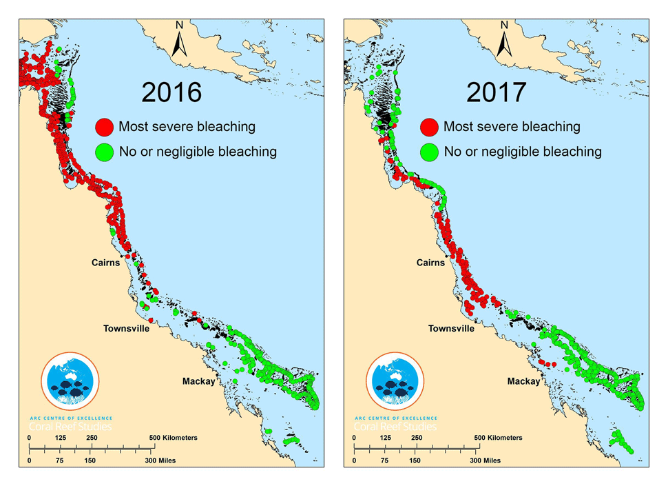 coral bleaching map