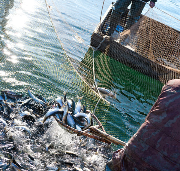 fishing