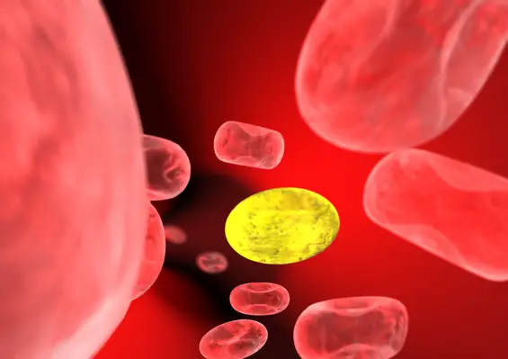 blood cells hiv aids nanomedicine nanotechnology