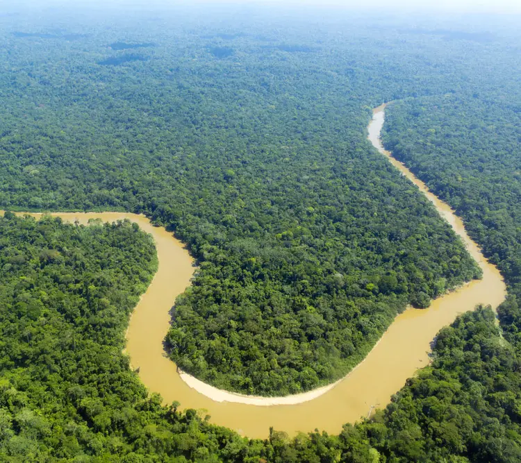 amazon rainforest and river aerial view