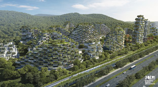 china forest city 2020