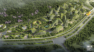 china forest city 2020