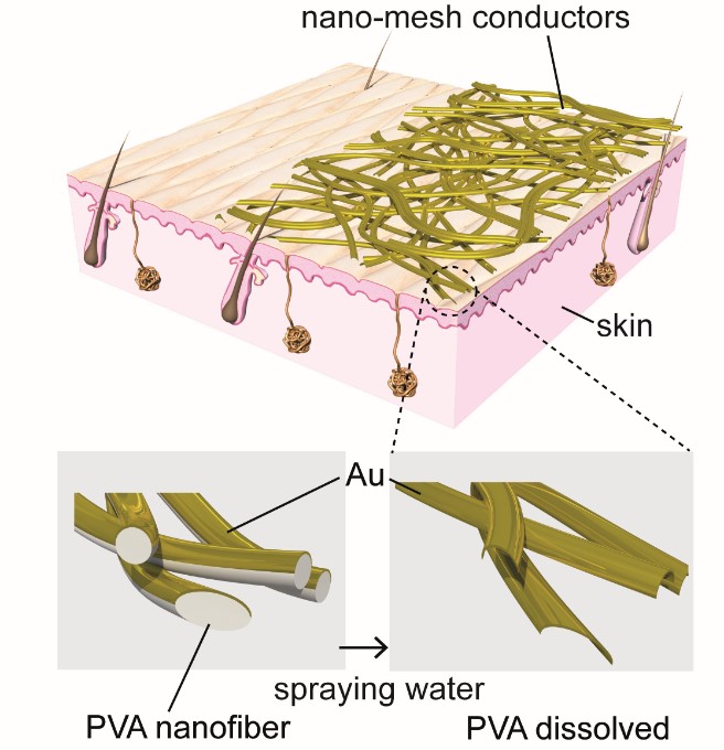 wearable skin electronics