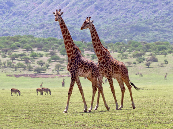 Serengeti National Park