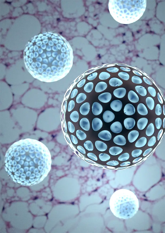nanoparticles obesity cure