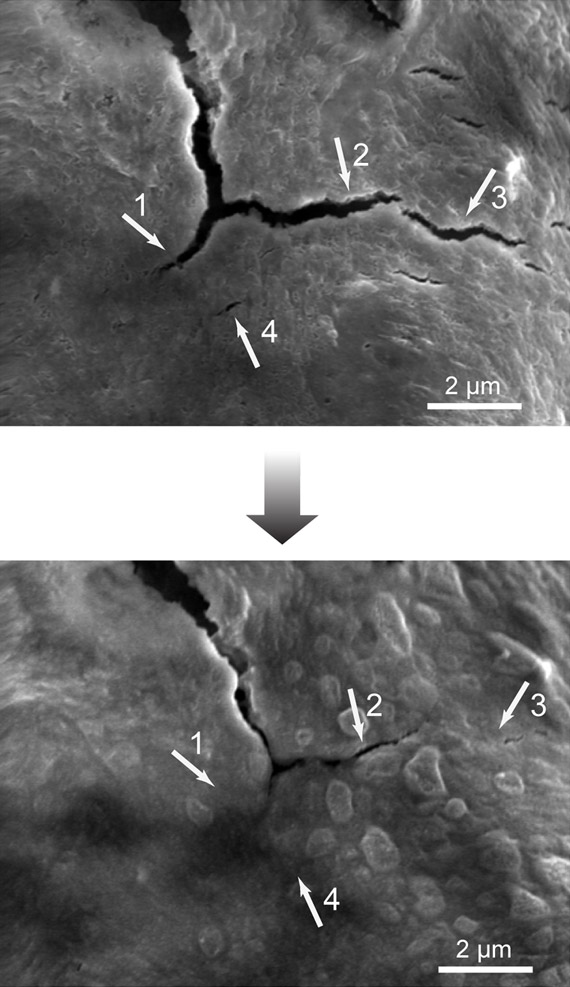 self healing battery electrode