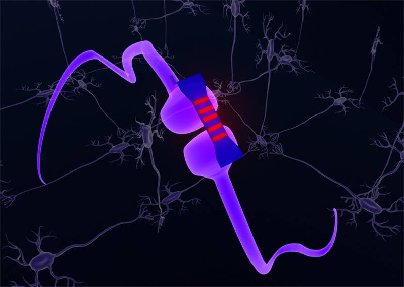 brain like photonic chips