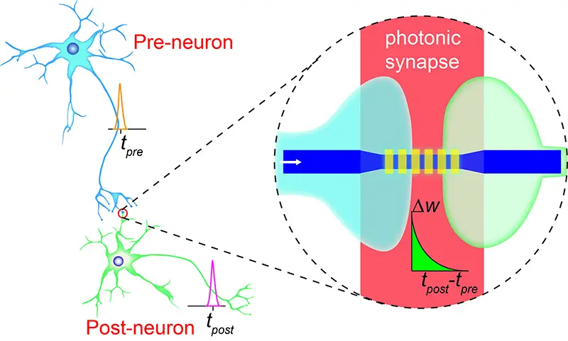 brain like photonic chips