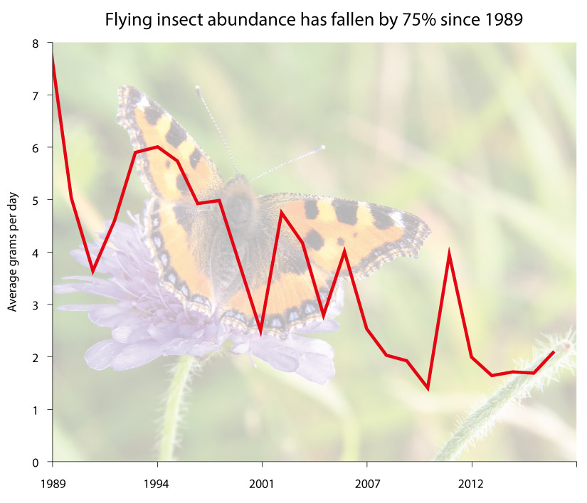 insect biomass decline trend