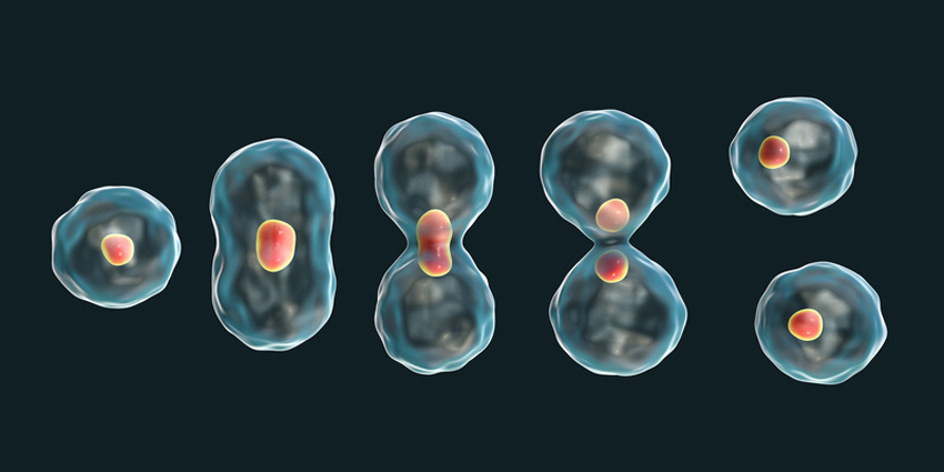 aging epigenetic memory breakthrough