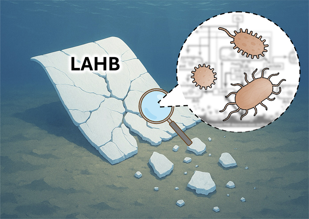 bioplastic lahb