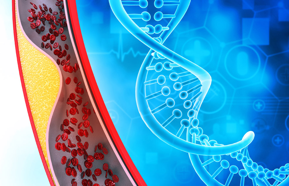 cholesterol in blood vessel with dna