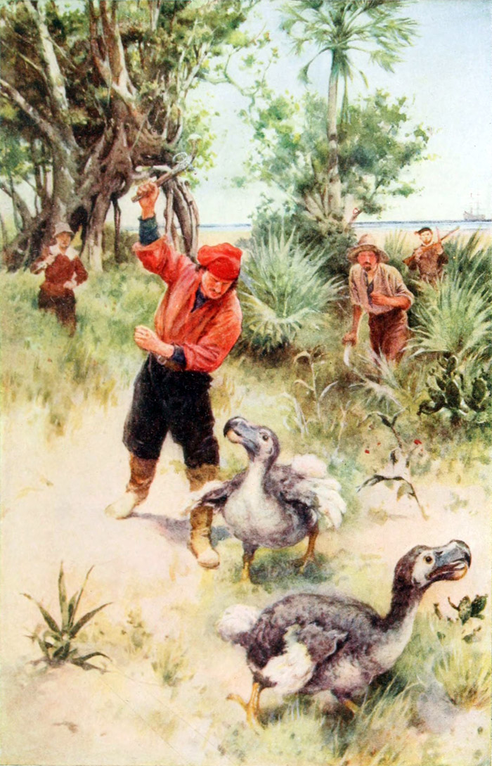 dodo extinction future timeline