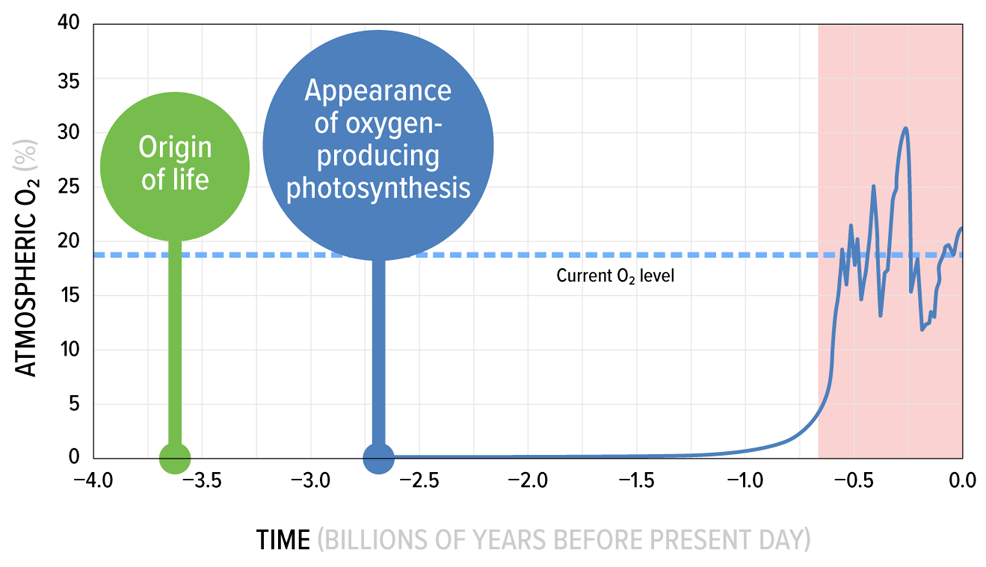 earth oxygen levels over time