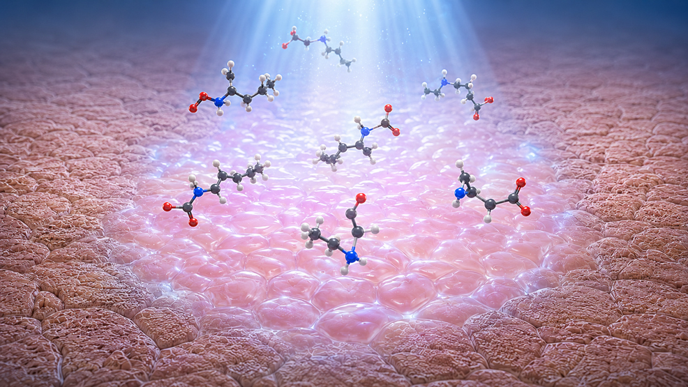enzyme reverses age related protein damage