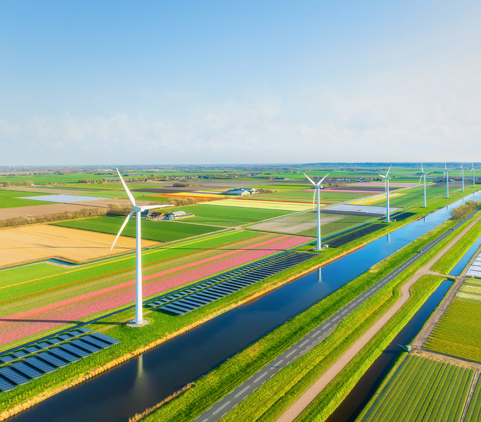 eu emissions net zero 2050