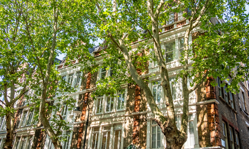 Trees and shaded green space in London