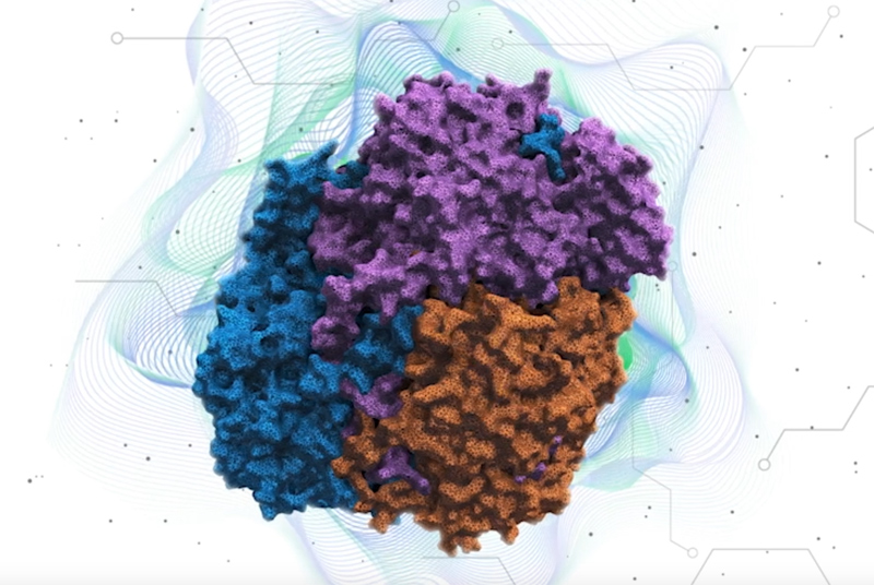 juvnet protein