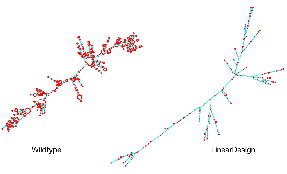 linear design baidu