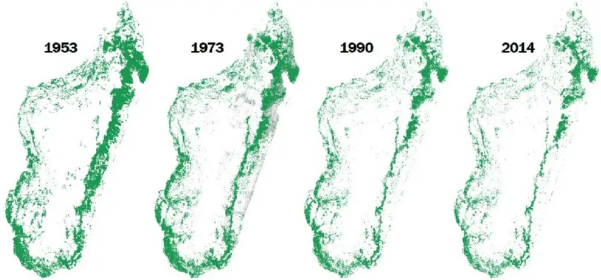 madagascar deforestation