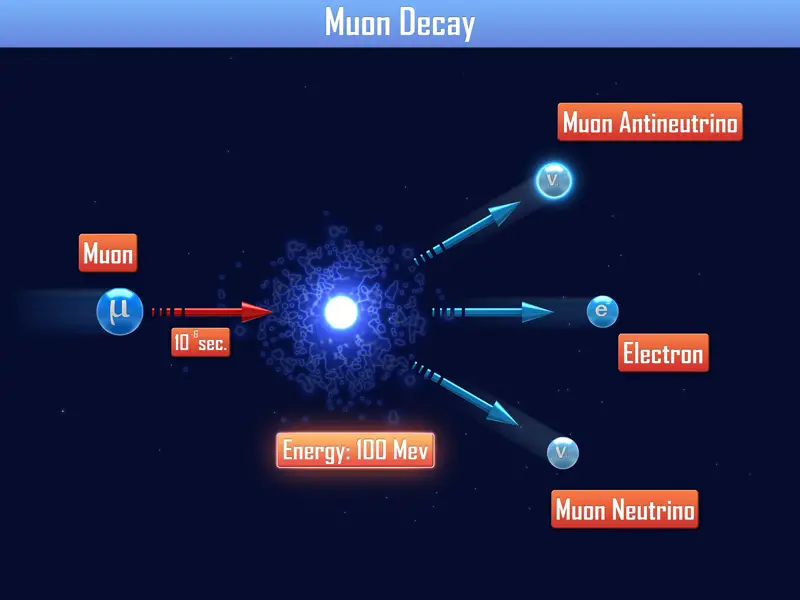 muon particle decay