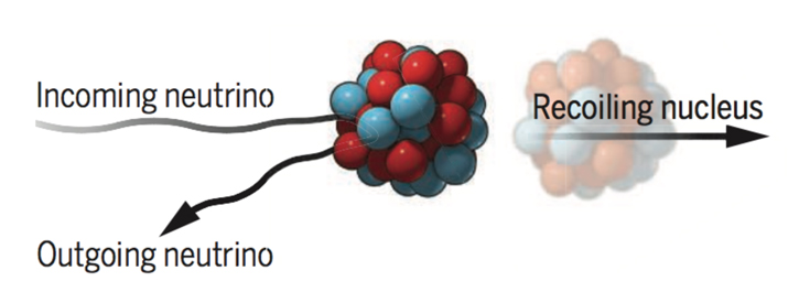 neutrino colliding with nucleus