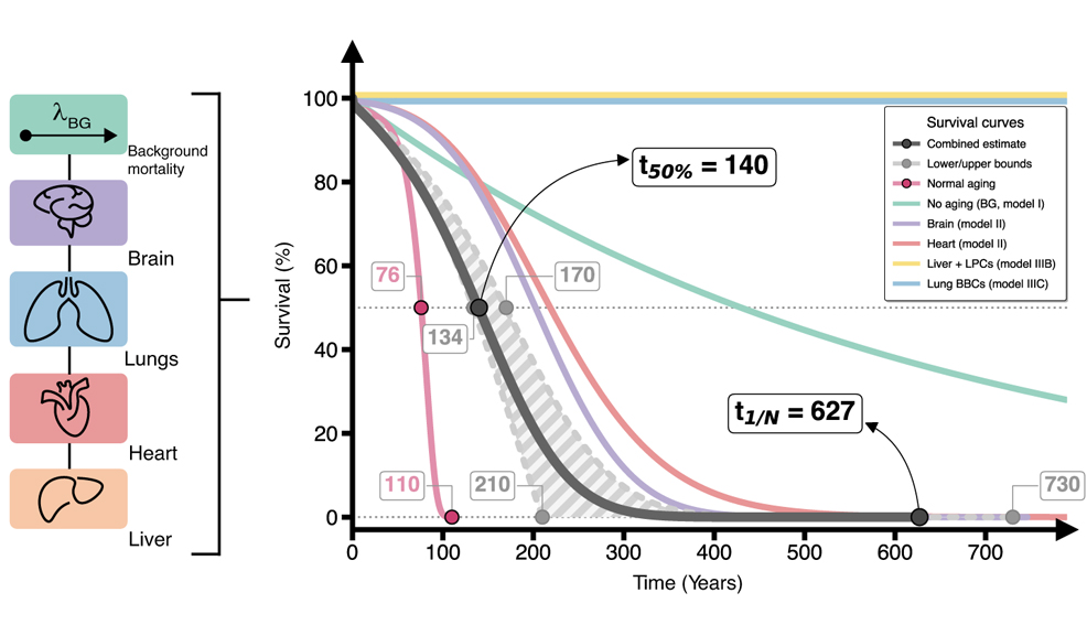 organs limit human longevity