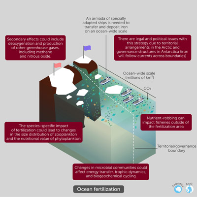 Ocean fertilisation