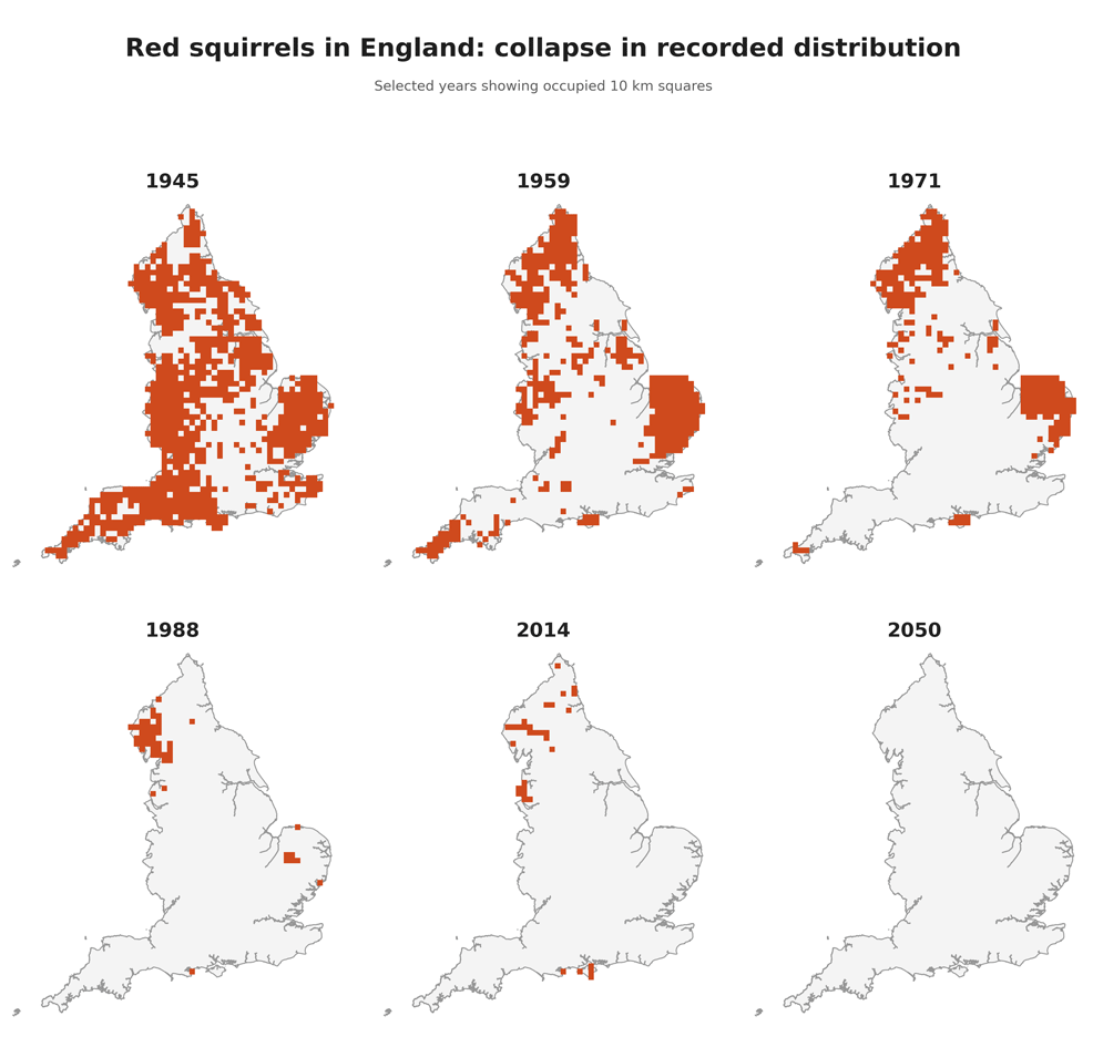 red squirrels england habitat map over time