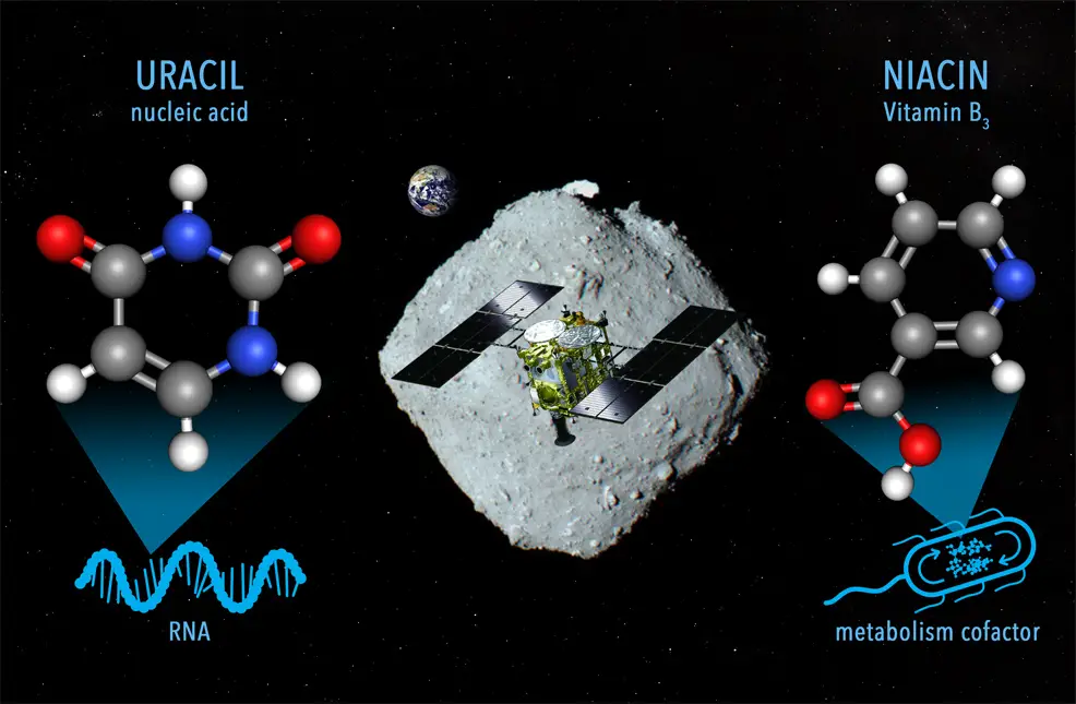 rna on asteroids
