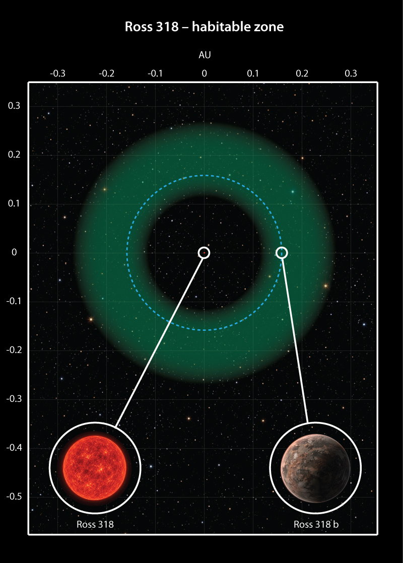 ross 318 b habitable zone